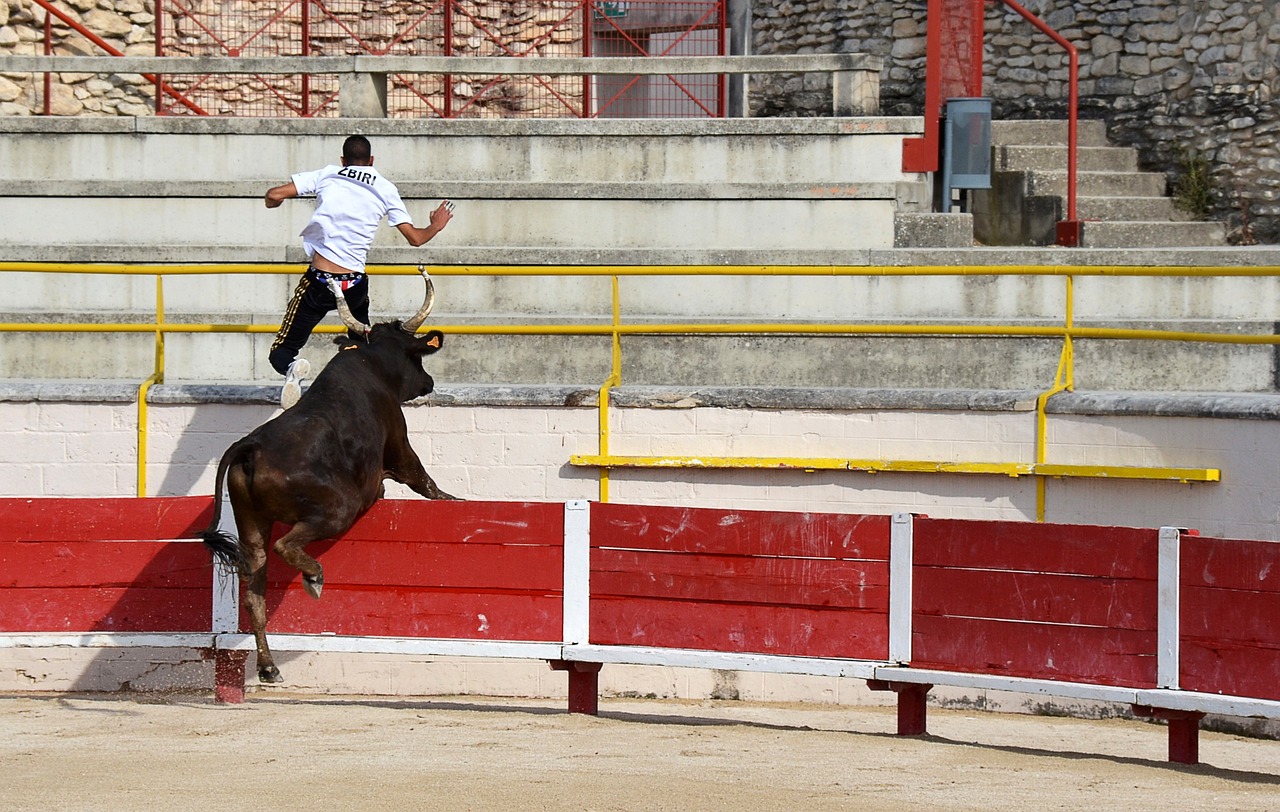 他的名字将
