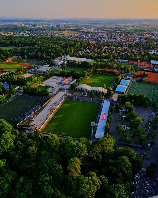 谈足球界的 谈足球界的