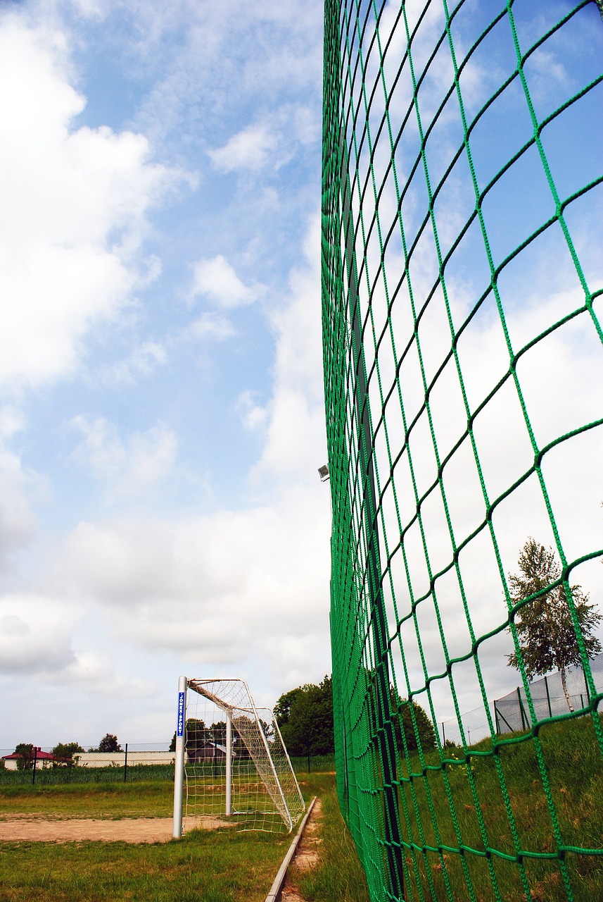 仅是为了减 仅是为了减