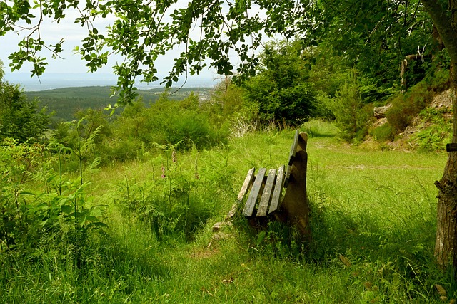 果敢的步伐 果敢的步伐