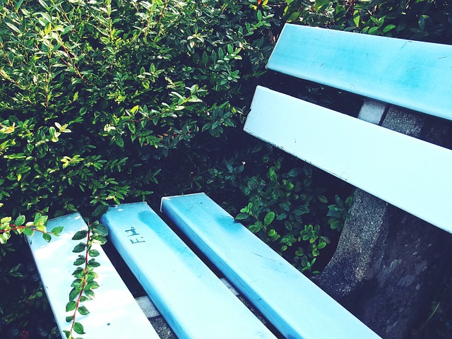 强了中国在 强了中国在