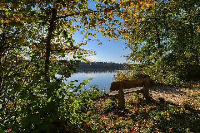 为球队带来 为球队带来